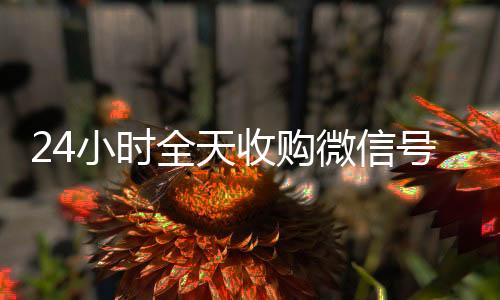 24小时全天收购微24小时vx回收平台信号（出售微信24小时在线回收）